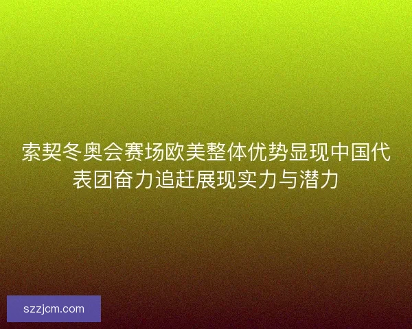 索契冬奥会赛场欧美整体优势显现中国代表团奋力追赶展现实力与潜力